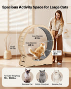Cat Exercise Wheel, 120cm Wooden Cat Running Wheel for Indoor Cats up to 12.7kg Cats Treadmill with Carpeted Runway & Locking Mechanism, Quiet Roller Kitten Sport Toys for Pets Fitness & Health