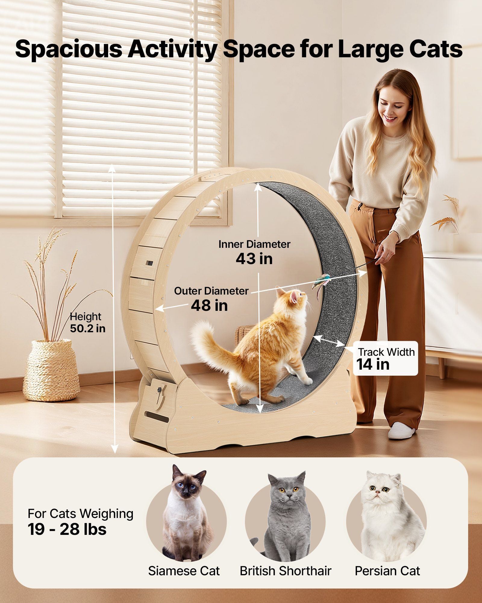 Cat Exercise Wheel, 120cm Wooden Cat Running Wheel for Indoor Cats up to 12.7kg Cats Treadmill with Carpeted Runway & Locking Mechanism, Quiet Roller Kitten Sport Toys for Pets Fitness & Health