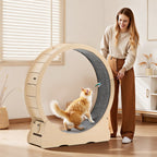 Cat Exercise Wheel, 120cm Wooden Cat Running Wheel for Indoor Cats up to 12.7kg Cats Treadmill with Carpeted Runway & Locking Mechanism, Quiet Roller Kitten Sport Toys for Pets Fitness & Health