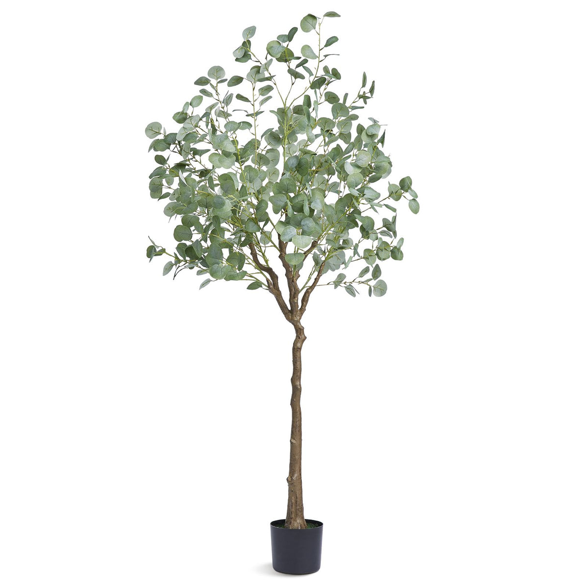 Artificial eucalyptus tree in a pot on a white background