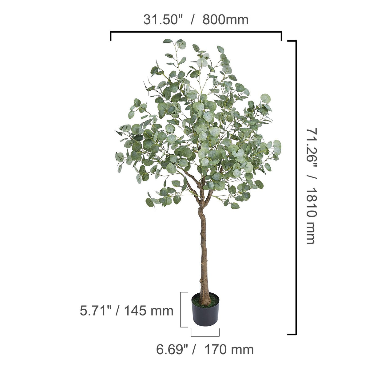 Artificial eucalyptus tree with dimensions labeled on a white background