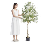 Artificial Olive Tree, 15.2cm Tall Faux Plant