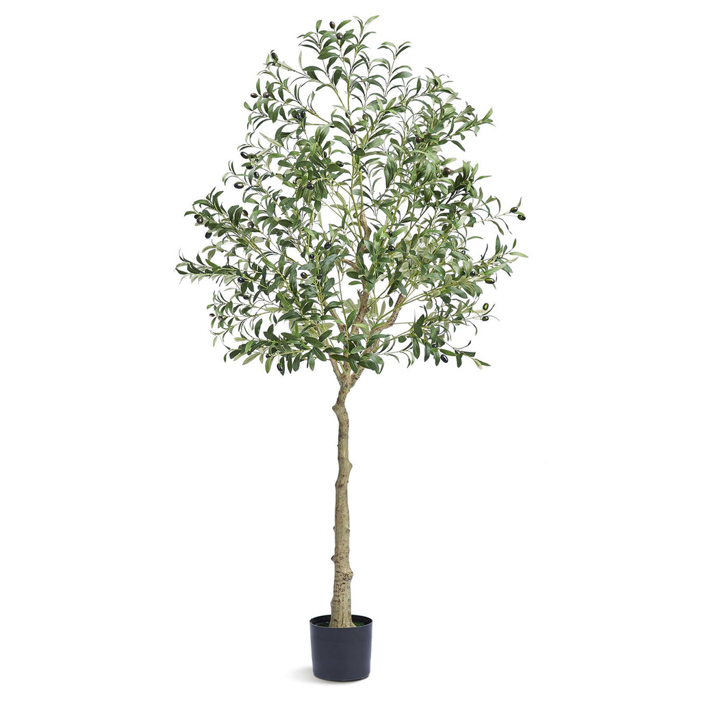 Artificial Olive Tree, 15.2cm Tall Faux Plant