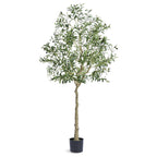 Artificial Olive Tree, 15.2cm Tall Faux Plant