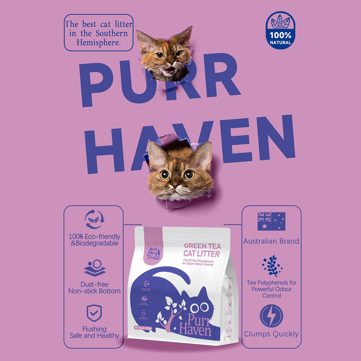 Cat litter set box design with PurrHaven Green Tea pack artwork