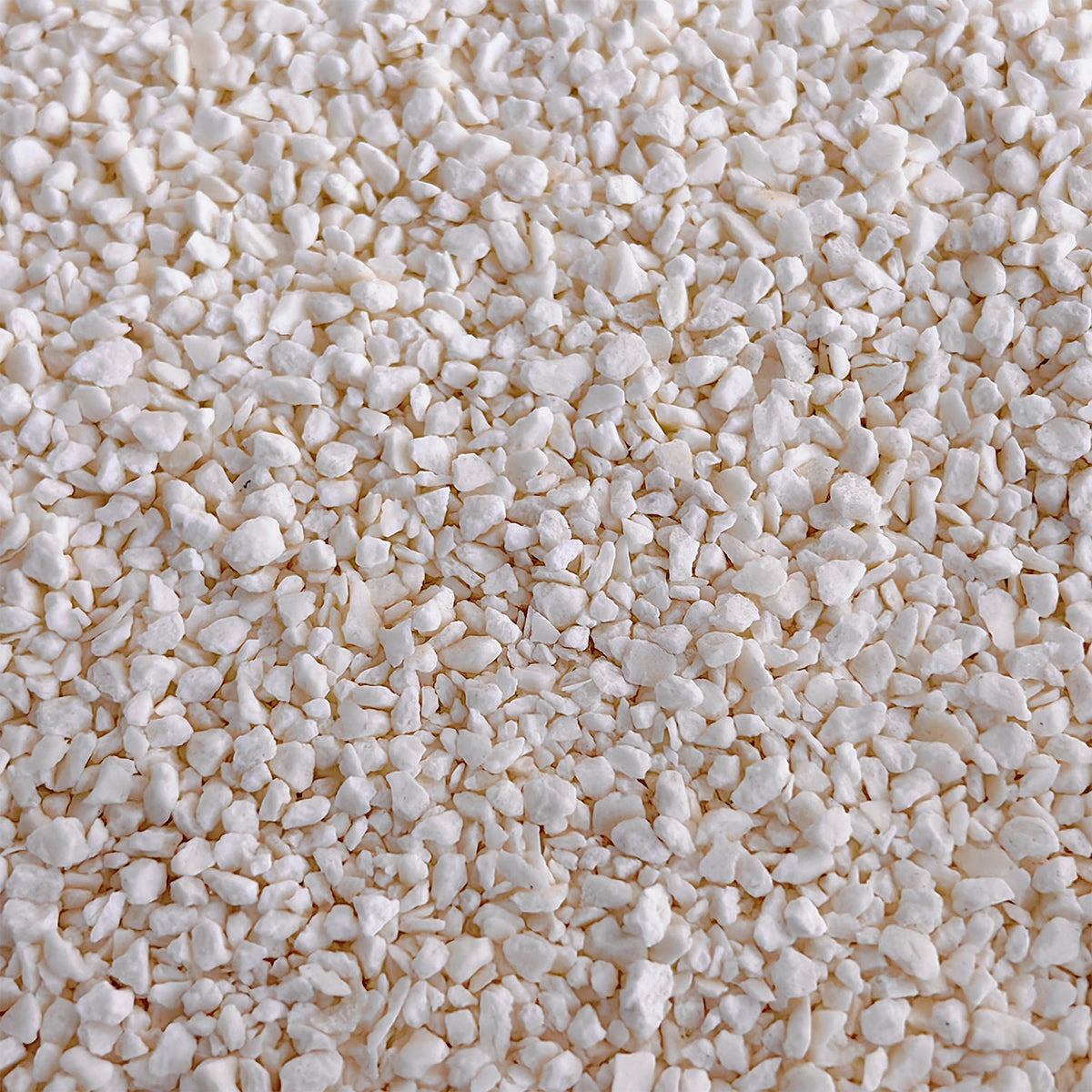 White tapioca cat litter granules, small clumping particles.