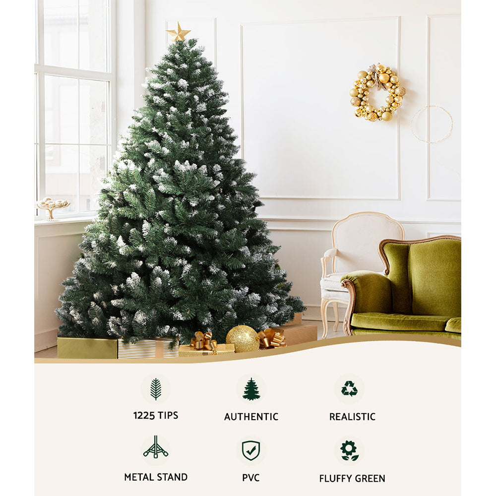 Decorated Christmas tree in a living room with a green sofa and wreath on the wall.